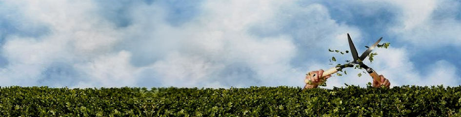 hedge-trimming_1402365ib